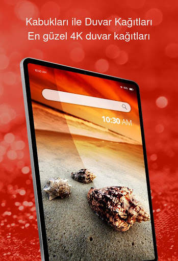 Kabukları ile Duvar Kağıtları screenshot 6