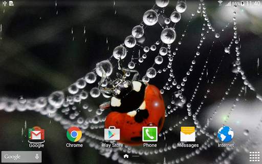 Rainy Live Wallpaper screenshot 7