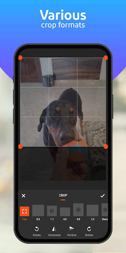 Gwyn Editor: Photo Editor, Art screenshot 7