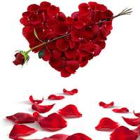 اس ام اس های عاشقانه جدید on 9Apps
