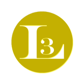 Level 3 Social icon