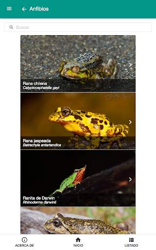 Fauna chilena screenshot 7