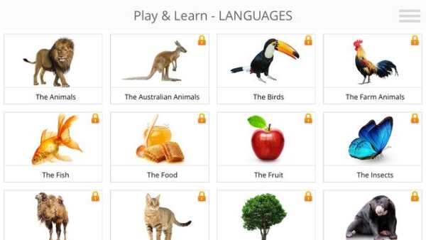 Play and Learn LANGUAGES screenshot 2