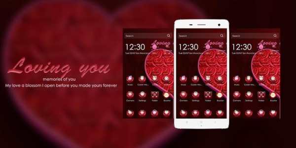 Loving you Valentine Theme screenshot 4