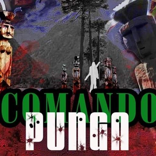 Comando Punga Final иконка