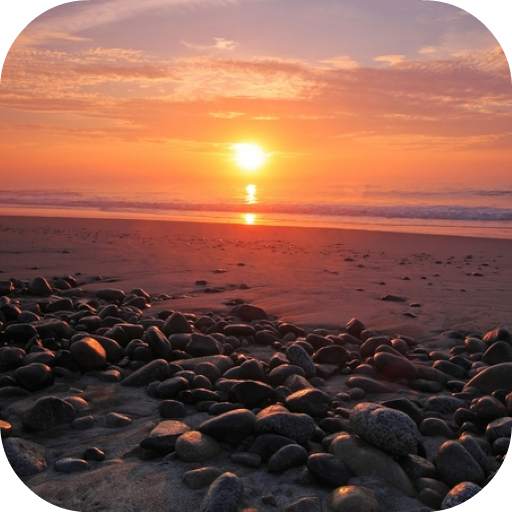 Sunset Video Live Wallpaper 4.0