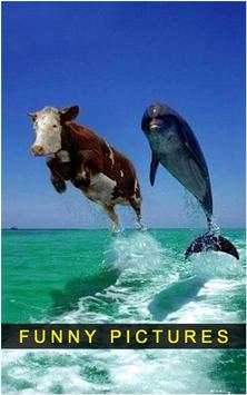 Funny Pictures screenshot 5