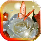 Spring Rose live wallpaper icon