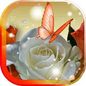 Spring Rose live wallpaper 1.0