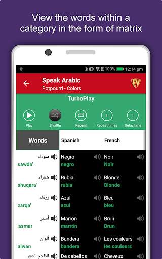 Speak Arabic : Learn Arabic Language Offline screenshot 15