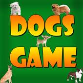 Dogs Game 1.4.8e