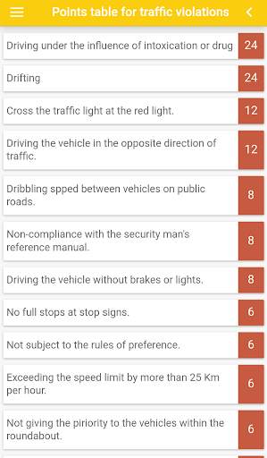 Driving School Test screenshot 7