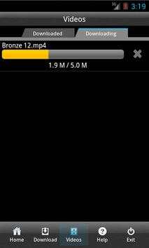 VideoGetter-lite screenshot 3