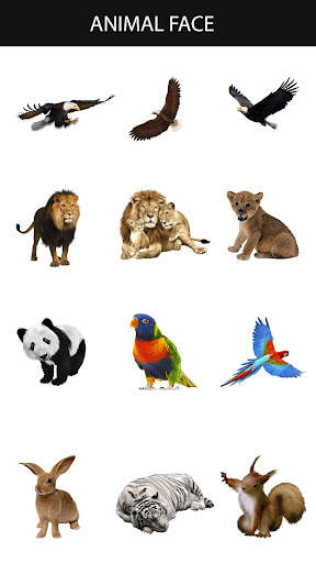 Animal Face Maker App screenshot 4