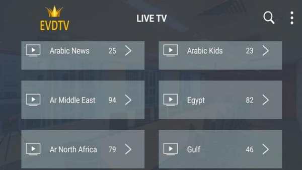 EVDTV PLAYER 2.1 screenshot 4
