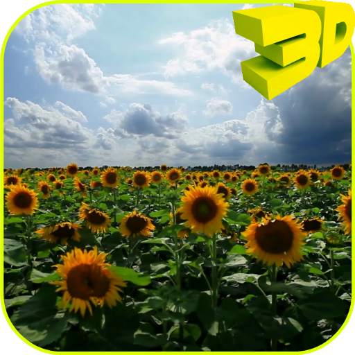Sunflowers 3D Live Wallpaper 6.0