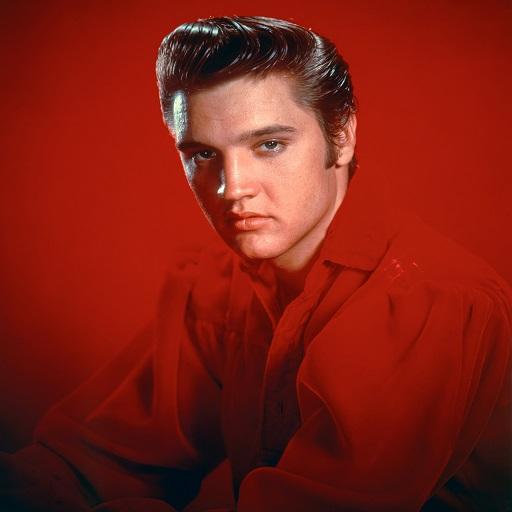Elvis Presley Best Music(Offline) &amp; Ringstones icon
