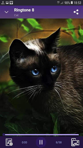 Cat - RINGTONES and WALLPAPERS screenshot 2