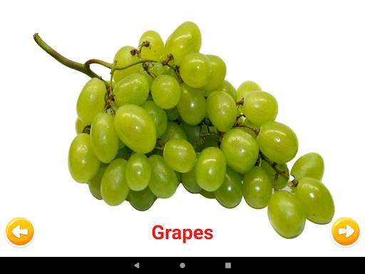 Fruits & Vegetables скриншот 10