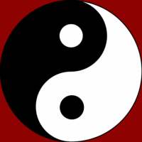 Yin Yang Rush