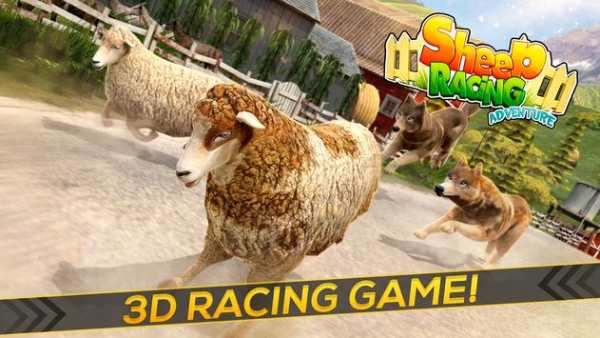 Sheep Racing Adventure Game 3D screenshot 9