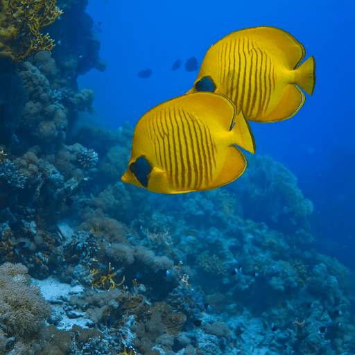 HD Jigsaw Puzzle Game - JigJig™ screenshot 3