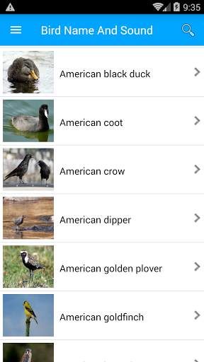 Bird Name And Sound screenshot 3