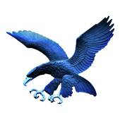 Ateneo Blue Eagles 1.4.455.2