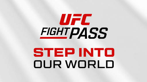 UFC screenshot 13