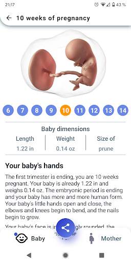 My Pregnancy - Week by Week screenshot 2