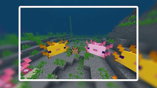 Mod Axolotl for Minecraft screenshot 1