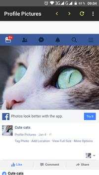 Browser screenshot 4