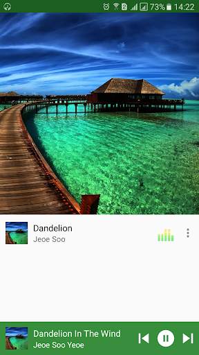 Nice Playlist: Manage, Sort, Edit playlist screenshot 2