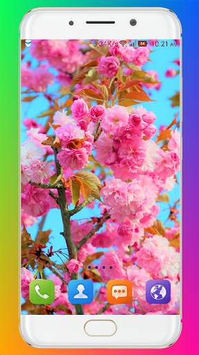 Spring Wallpaper HD скриншот 2