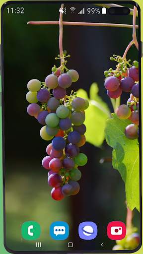 Fruit Wallpaper Best HD screenshot 11
