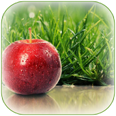 Apple Wallpaper icon