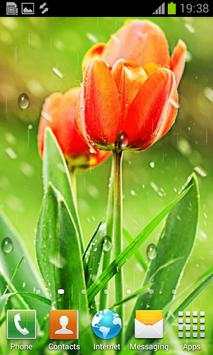My Photo Rain live wallpaper screenshot 5