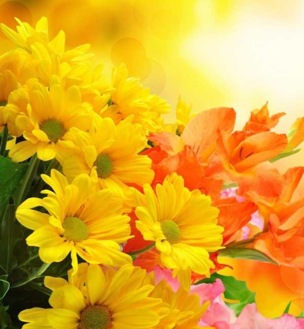 Beautiful Flowers Wallpaper screenshot 14