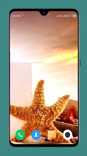 HD Seashell Wallpaper screenshot 7