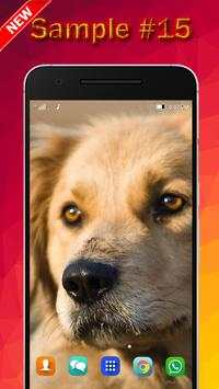 Dog Wallpaper screenshot 15