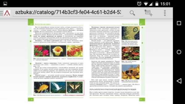 AZBUKA Browser screenshot 2