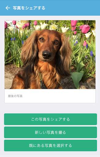 Pawshake screenshot 4