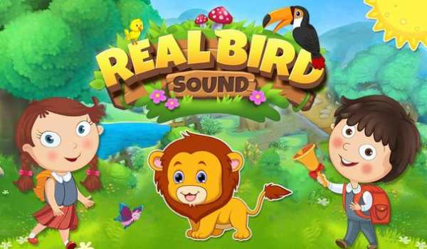 Real Bird Sounds screenshot 1