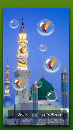Madina Live Wallpaper screenshot 4