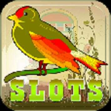Crazy Bird Slot screenshot 4