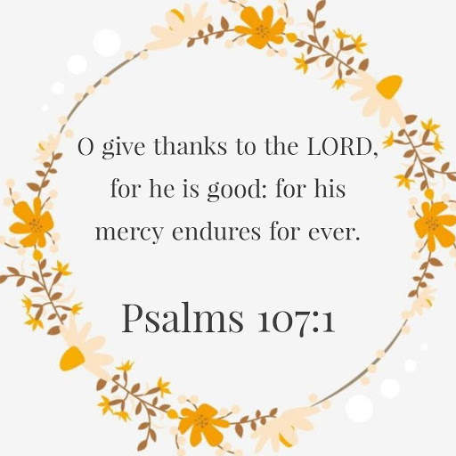 Daily bible verse with images screenshot 2