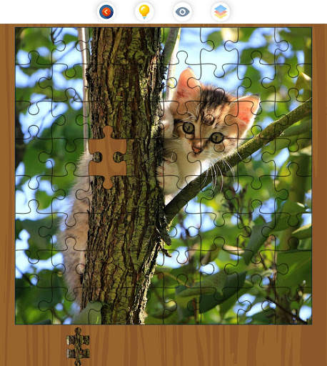 Jigsaw Galaxy: Cats Edition screenshot 24
