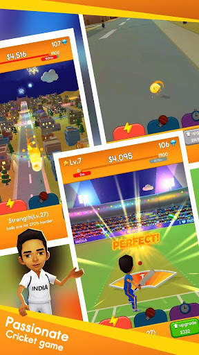 Cricket Boy screenshot 1