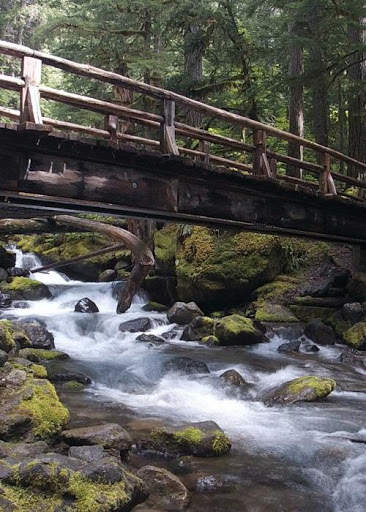 River Live Wallpaper screenshot 8