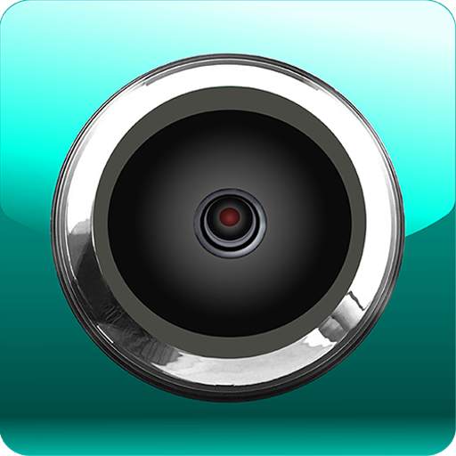 Whistler Dash Cam C1.1.0_1023